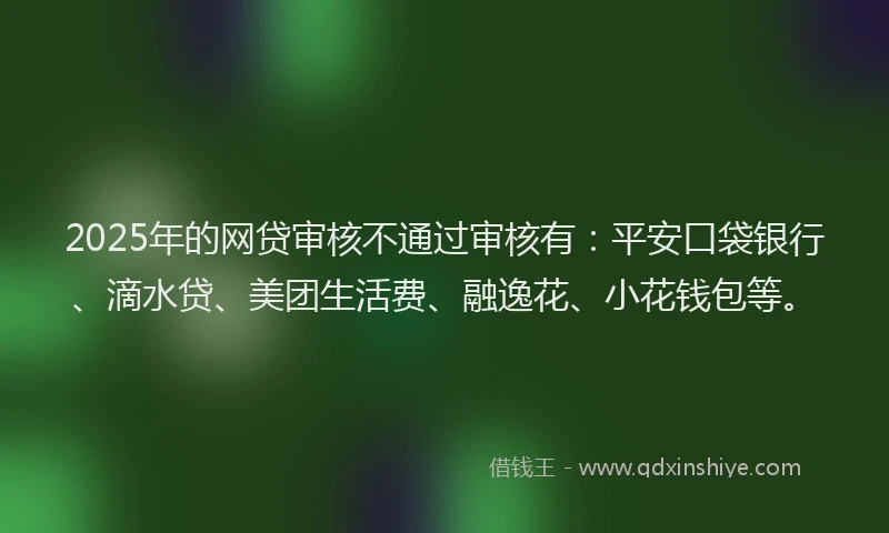 2025年的网贷审核不通过审核有：平安口袋银行、滴水贷、美团生活费、融逸花、小花钱包等。
