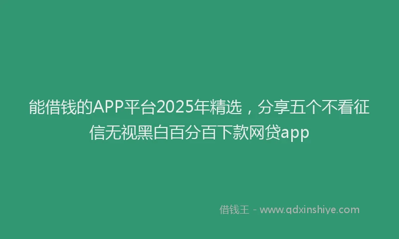 能借钱的APP平台2025年精选，分享五个不看征信无视黑白百分百下款网贷app