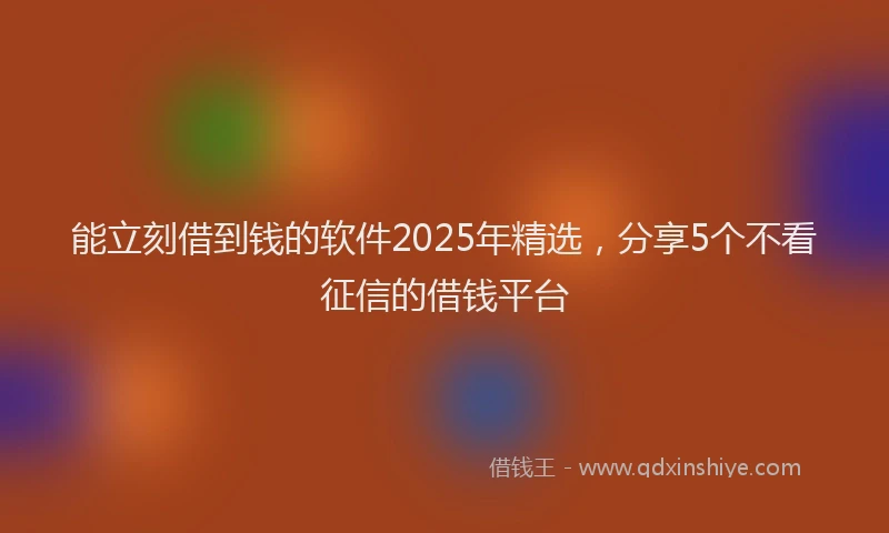 能立刻借到钱的软件2025年精选，分享5个不看征信的借钱平台