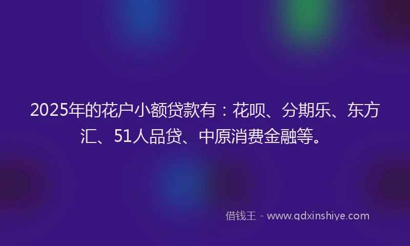 2025年的花户小额贷款有：花呗、分期乐、东方汇、51人品贷、中原消费金融等。