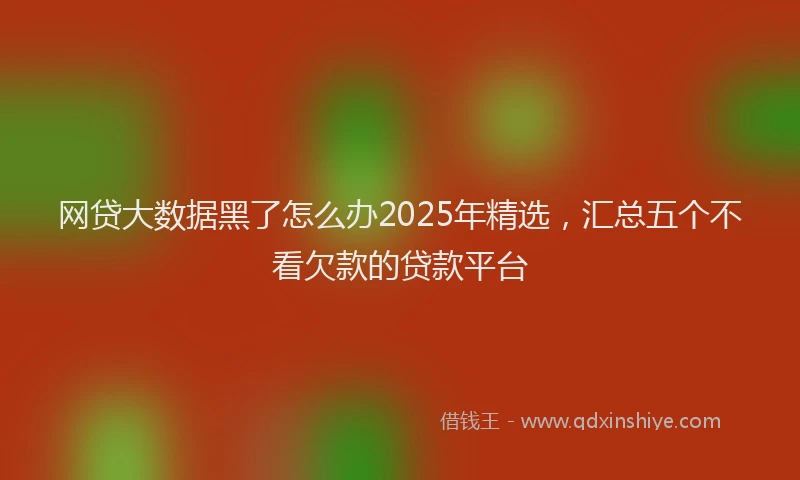网贷大数据黑了怎么办2025年精选，汇总五个不看欠款的贷款平台