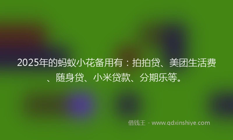 2025年的蚂蚁小花备用有：拍拍贷、美团生活费、随身贷、小米贷款、分期乐等。