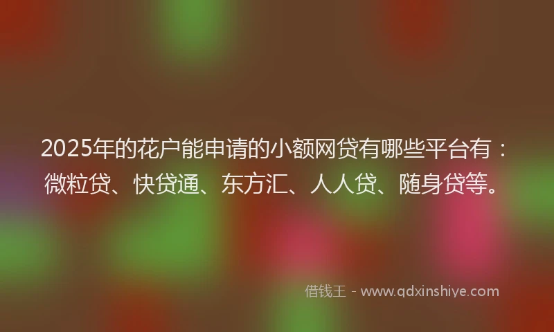 2025年的花户能申请的小额网贷有哪些平台有：微粒贷、快贷通、东方汇、人人贷、随身贷等。