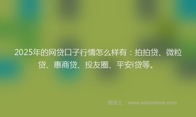 2025年的网贷口子行情怎么样有：拍拍贷、微粒贷、惠商贷、投友圈、平安i贷等。