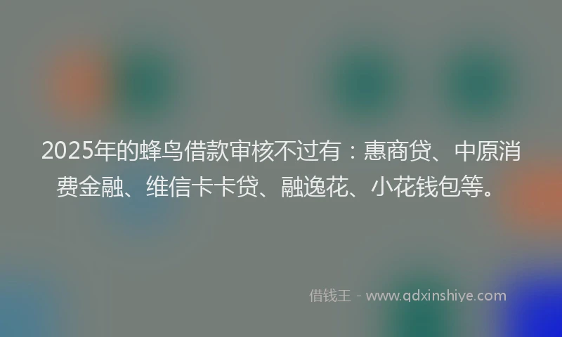 2025年的蜂鸟借款审核不过有：惠商贷、中原消费金融、维信卡卡贷、融逸花、小花钱包等。