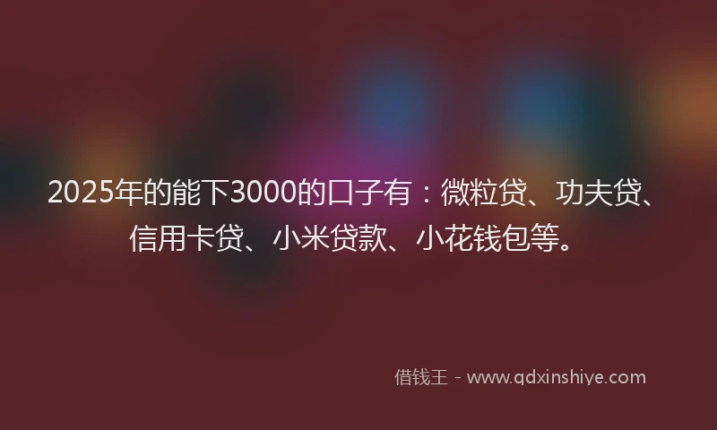 2025年的能下3000的口子有：微粒贷、功夫贷、信用卡贷、小米贷款、小花钱包等。