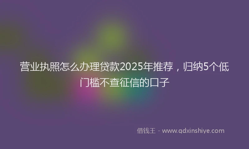 营业执照怎么办理贷款2025年推荐，归纳5个低门槛不查征信的口子