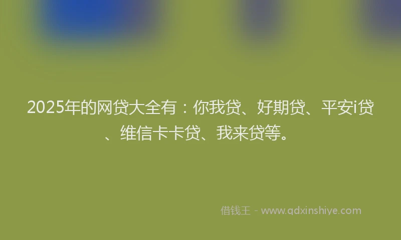 2025年的网贷大全有：你我贷、好期贷、平安i贷、维信卡卡贷、我来贷等。