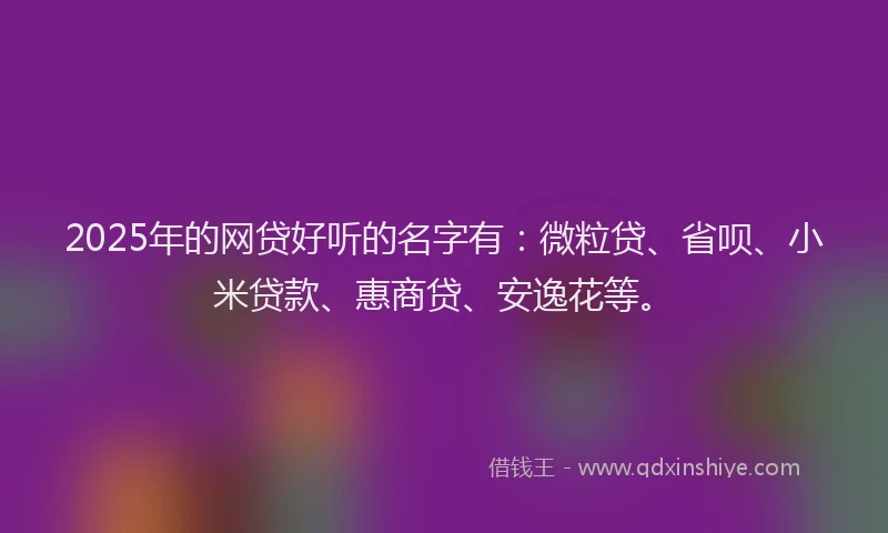 2025年的网贷好听的名字有：微粒贷、省呗、小米贷款、惠商贷、安逸花等。