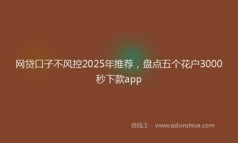 网贷口子不风控2025年推荐，盘点五个花户3000秒下款app