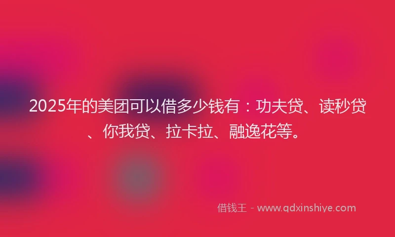 2025年的美团可以借多少钱有：功夫贷、读秒贷、你我贷、拉卡拉、融逸花等。