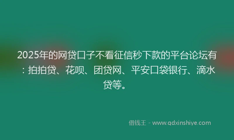 2025年的网贷口子不看征信秒下款的平台论坛有：拍拍贷、花呗、团贷网、平安口袋银行、滴水贷等。