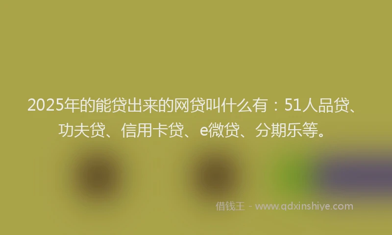 2025年的能贷出来的网贷叫什么有：51人品贷、功夫贷、信用卡贷、e微贷、分期乐等。