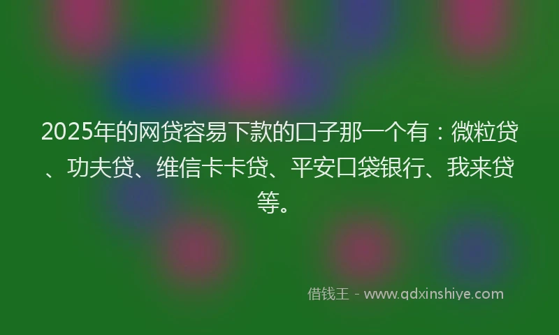 2025年的网贷容易下款的囗子那一个有：微粒贷、功夫贷、维信卡卡贷、平安口袋银行、我来贷等。