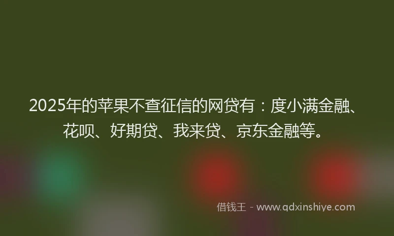 2025年的苹果不查征信的网贷有：度小满金融、花呗、好期贷、我来贷、京东金融等。