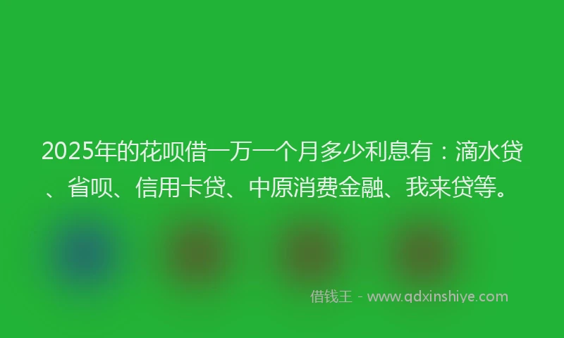 2025年的花呗借一万一个月多少利息有：滴水贷、省呗、信用卡贷、中原消费金融、我来贷等。