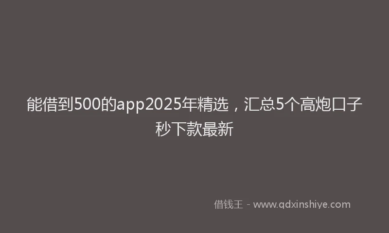 能借到500的app2025年精选，汇总5个高炮口子秒下款最新
