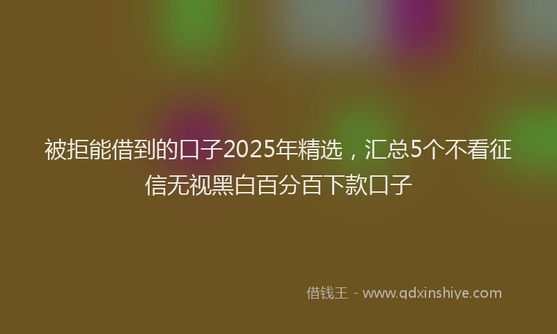 被拒能借到的口子2025年精选，汇总5个不看征信无视黑白百分百下款口子