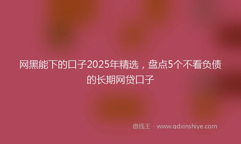 网黑能下的口子2025年精选，盘点5个不看负债的长期网贷口子