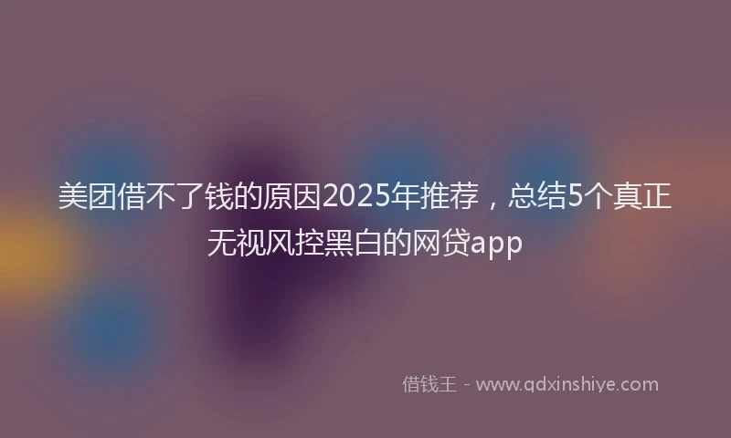美团借不了钱的原因2025年推荐，总结5个真正无视风控黑白的网贷app