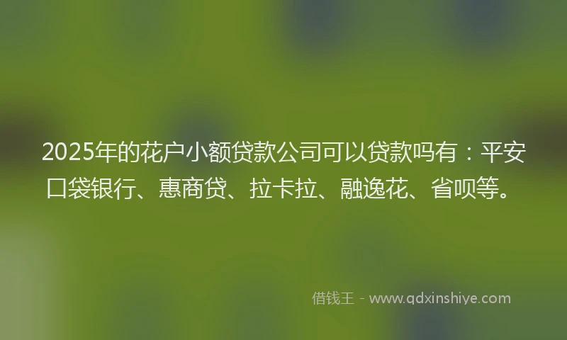 2025年的花户小额贷款公司可以贷款吗有：平安口袋银行、惠商贷、拉卡拉、融逸花、省呗等。