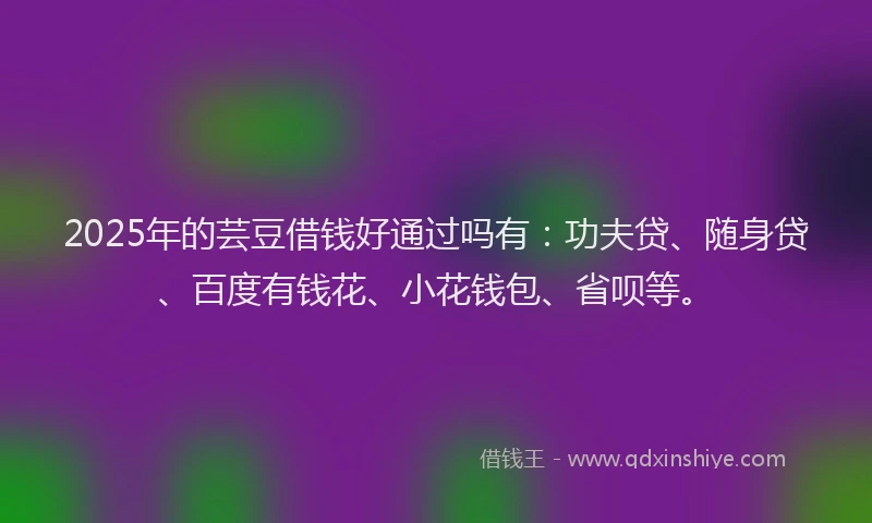 2025年的芸豆借钱好通过吗有：功夫贷、随身贷、百度有钱花、小花钱包、省呗等。