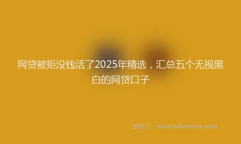 网贷被拒没钱活了2025年精选，汇总五个无视黑白的网贷口子