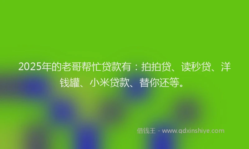 2025年的老哥帮忙贷款有：拍拍贷、读秒贷、洋钱罐、小米贷款、替你还等。