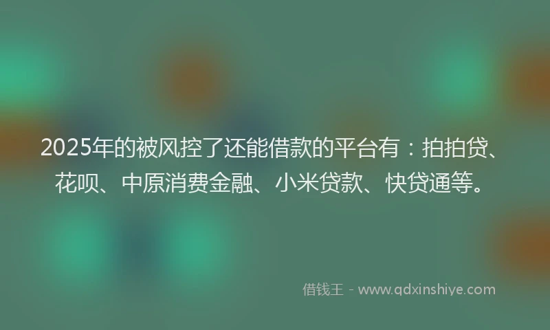 2025年的被风控了还能借款的平台有：拍拍贷、花呗、中原消费金融、小米贷款、快贷通等。