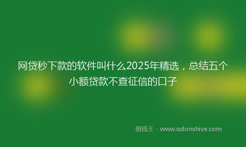 网贷秒下款的软件叫什么2025年精选，总结五个小额贷款不查征信的口子