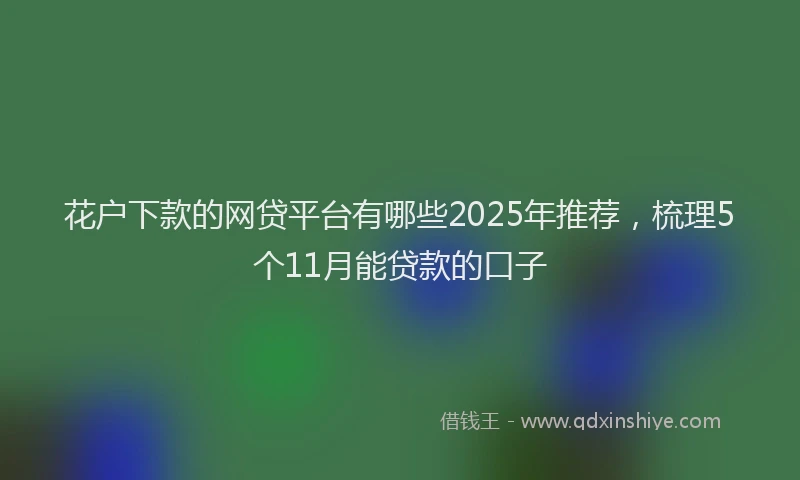 花户下款的网贷平台有哪些2025年推荐，梳理5个11月能贷款的口子