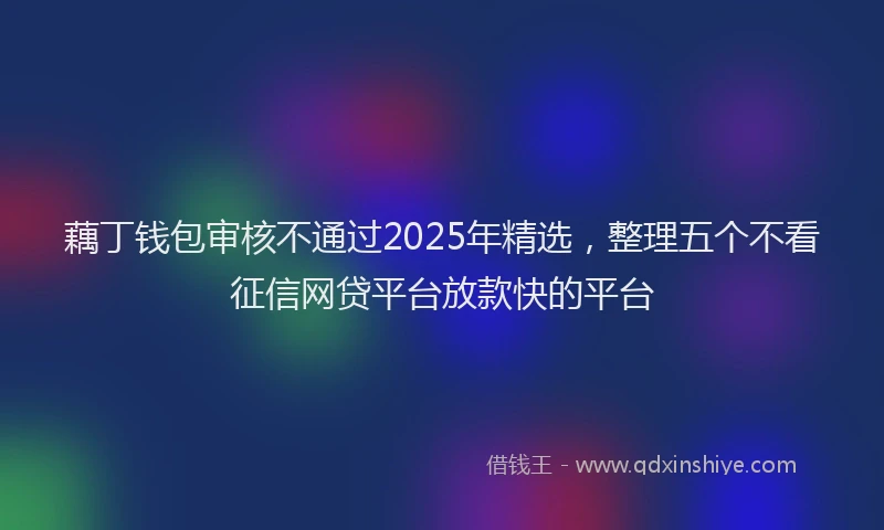 藕丁钱包审核不通过2025年精选，整理五个不看征信网贷平台放款快的平台
