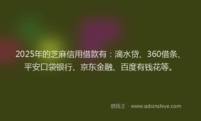 2025年的芝麻信用借款有：滴水贷、360借条、平安口袋银行、京东金融、百度有钱花等。