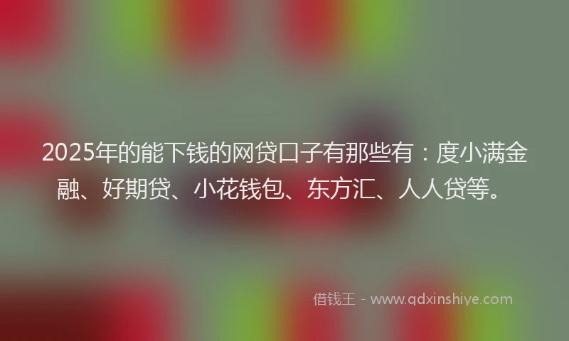 2025年的能下钱的网贷口子有那些有：度小满金融、好期贷、小花钱包、东方汇、人人贷等。