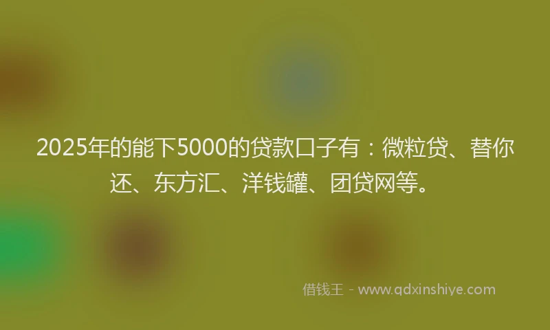 2025年的能下5000的贷款口子有：微粒贷、替你还、东方汇、洋钱罐、团贷网等。