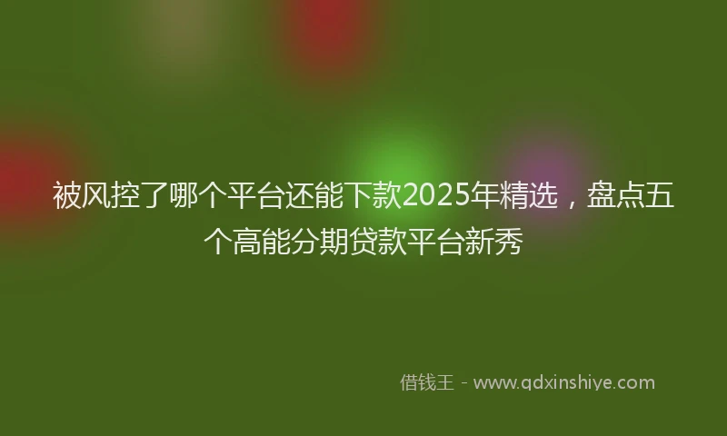 被风控了哪个平台还能下款2025年精选，盘点五个高能分期贷款平台新秀