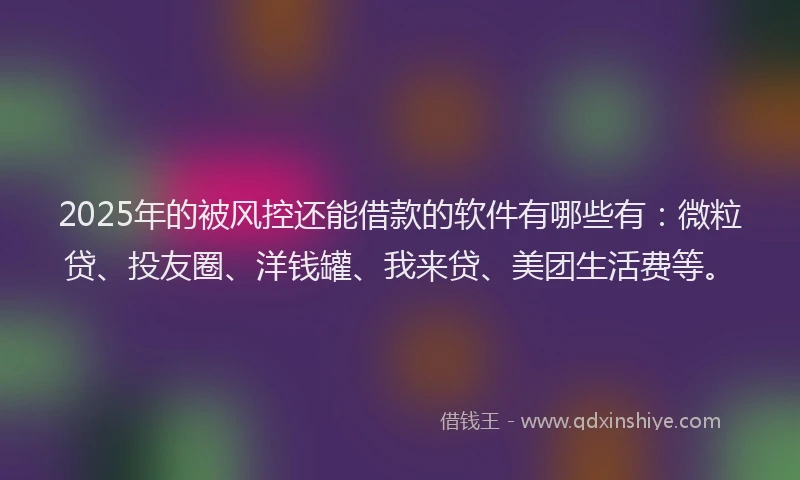 2025年的被风控还能借款的软件有哪些有：微粒贷、投友圈、洋钱罐、我来贷、美团生活费等。