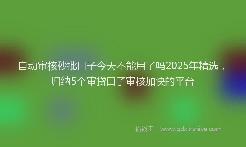 自动审核秒批口子今天不能用了吗2025年精选，归纳5个审贷口子审核加快的平台