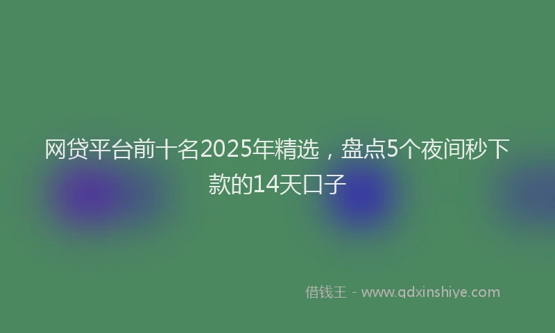 网贷平台前十名2025年精选，盘点5个夜间秒下款的14天口子