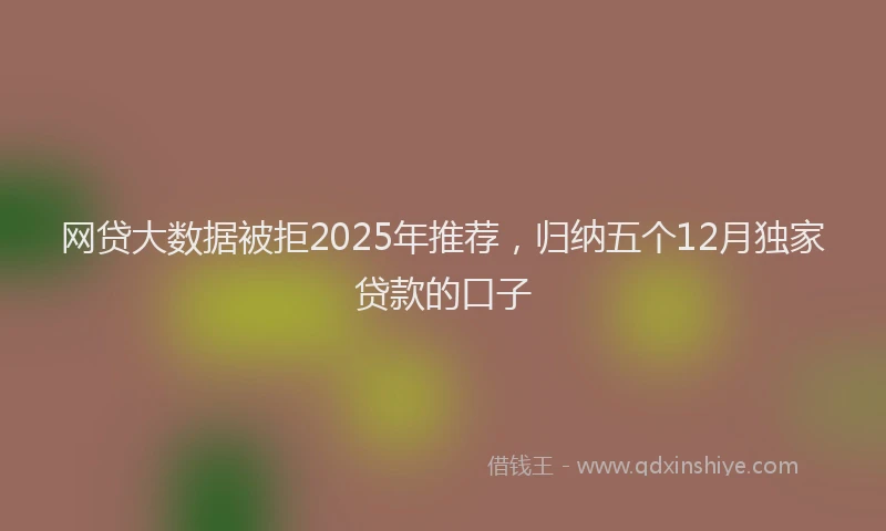 网贷大数据被拒2025年推荐，归纳五个12月独家贷款的口子