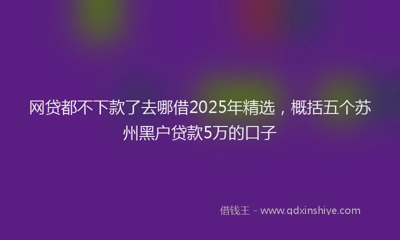 网贷都不下款了去哪借2025年精选，概括五个苏州黑户贷款5万的口子