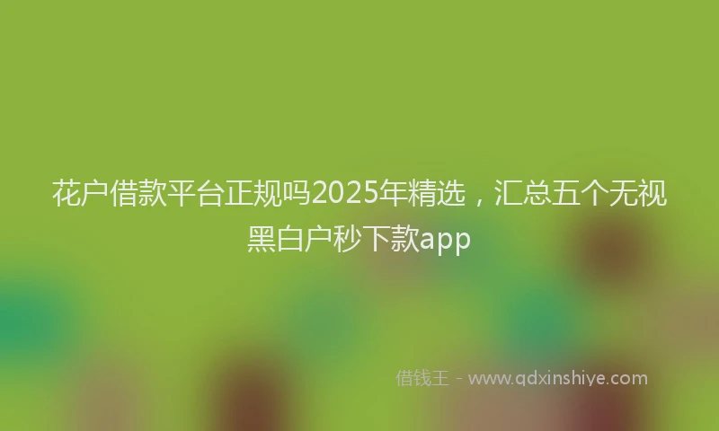 花户借款平台正规吗2025年精选，汇总五个无视黑白户秒下款app