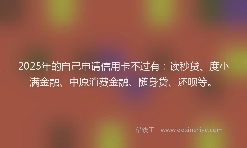 2025年的自己申请信用卡不过有：读秒贷、度小满金融、中原消费金融、随身贷、还呗等。