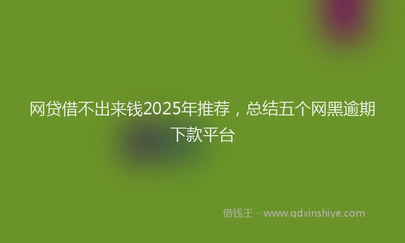 网贷借不出来钱2025年推荐，总结五个网黑逾期下款平台