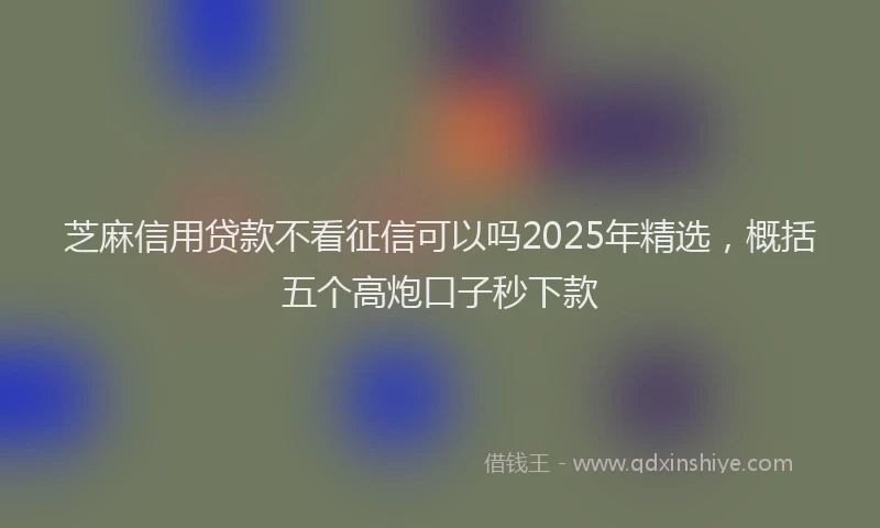 芝麻信用贷款不看征信可以吗2025年精选，概括五个高炮口子秒下款
