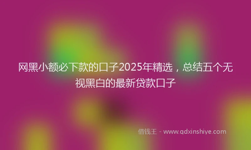 网黑小额必下款的口子2025年精选，总结五个无视黑白的最新贷款口子