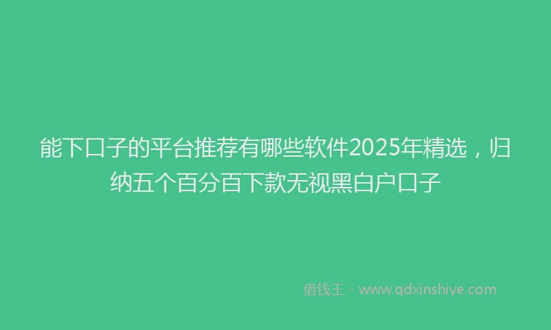 能下口子的平台推荐有哪些软件2025年精选，归纳五个百分百下款无视黑白户口子