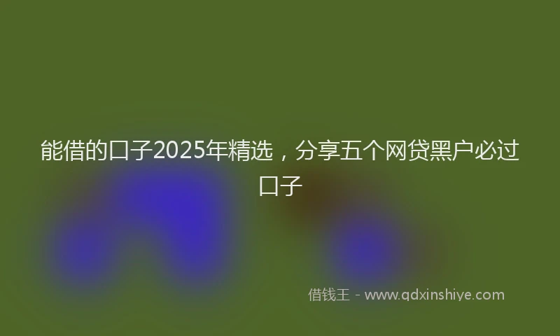 能借的口子2025年精选，分享五个网贷黑户必过口子