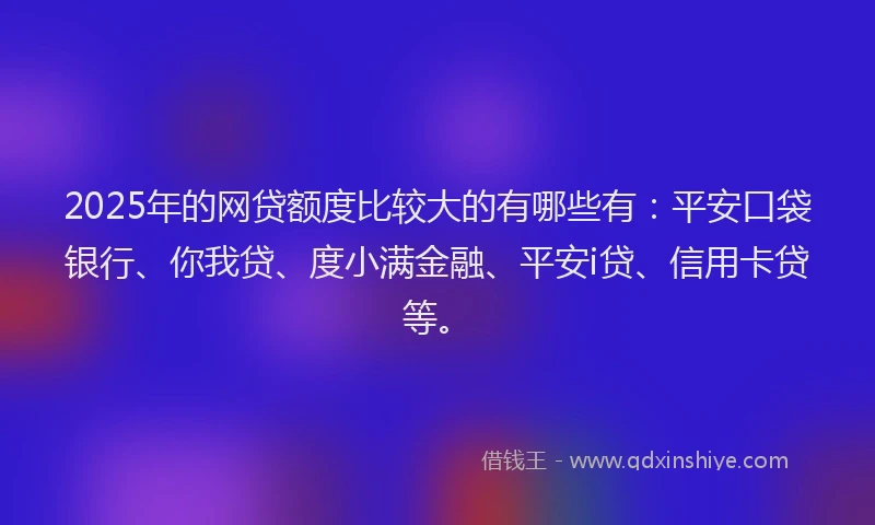 2025年的网贷额度比较大的有哪些有：平安口袋银行、你我贷、度小满金融、平安i贷、信用卡贷等。
