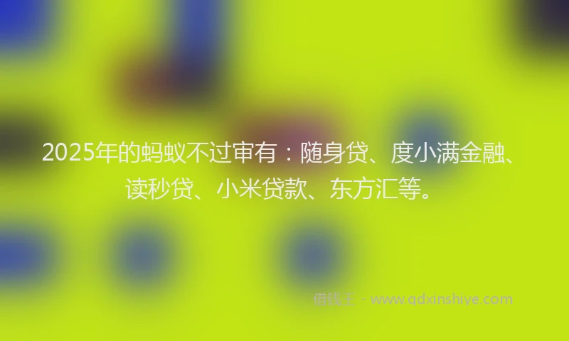 2025年的蚂蚁不过审有：随身贷、度小满金融、读秒贷、小米贷款、东方汇等。